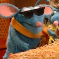 User profile picture